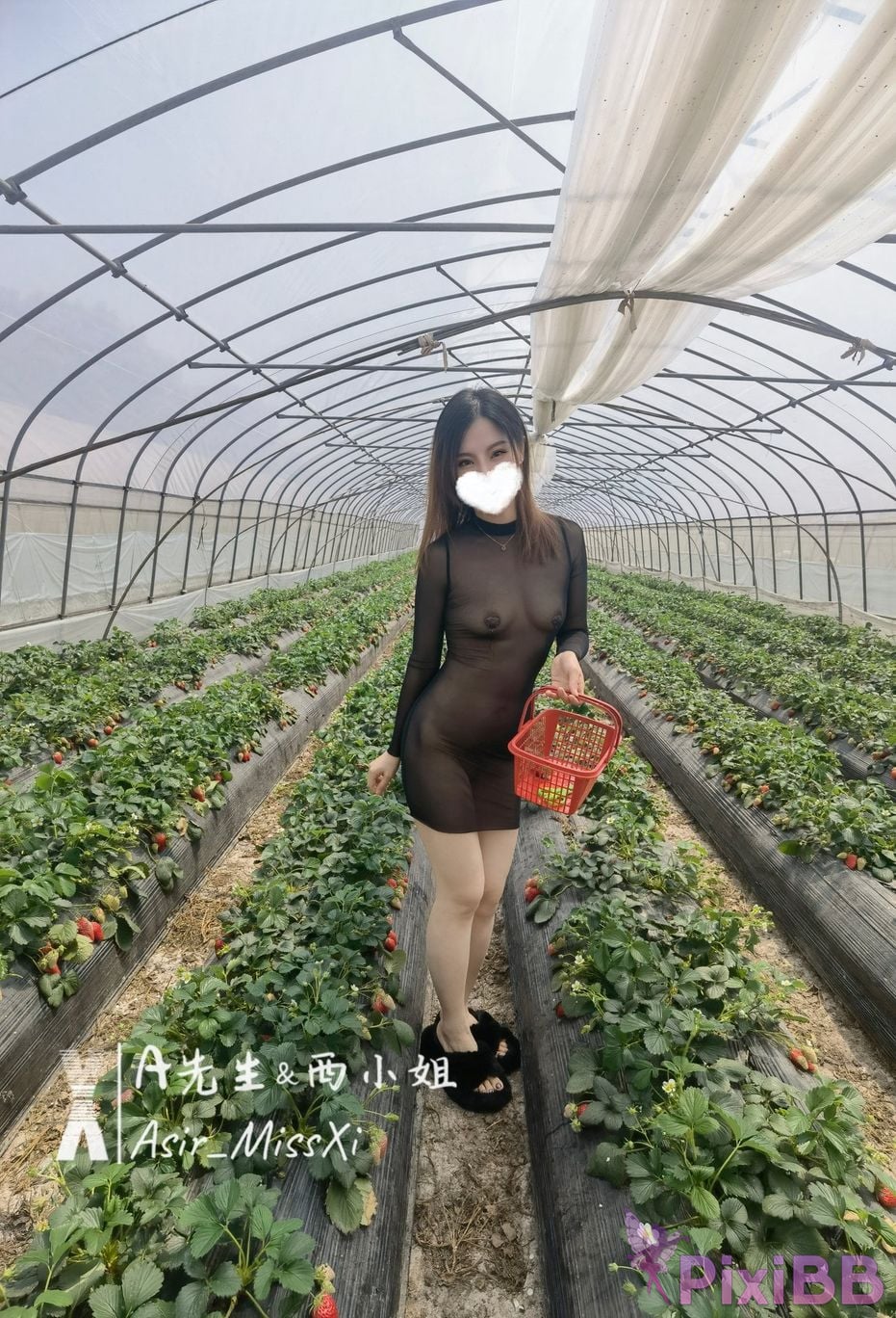 OtherXXX A Mr. Miss West Hot wife training Exposing private photos in front of people PixiBB.COM 056