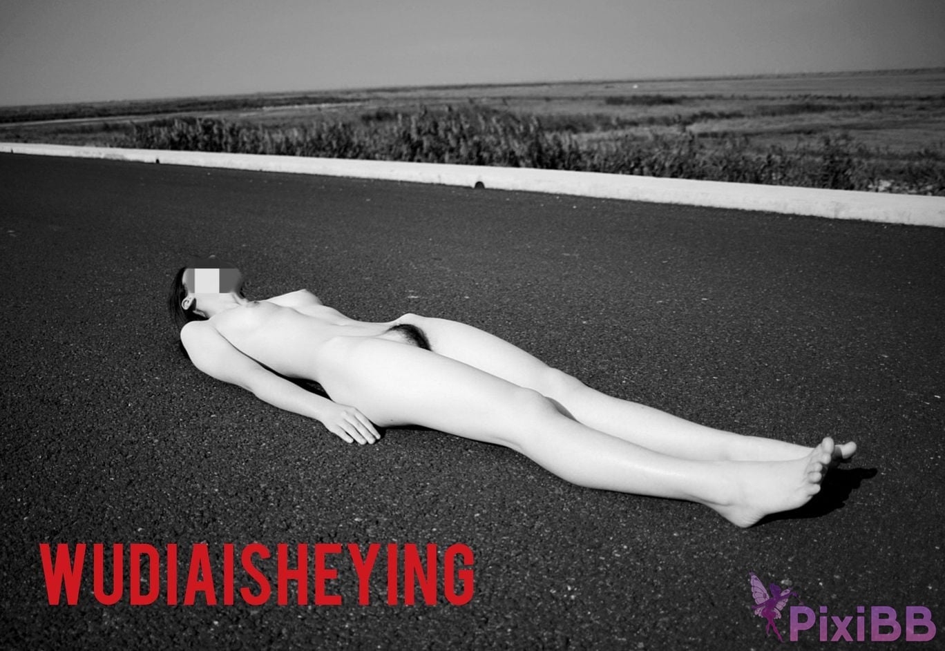 OtherXXX WUDIAISHEYING X Beautiful private photos of porn masters PixiBB.COM 1008