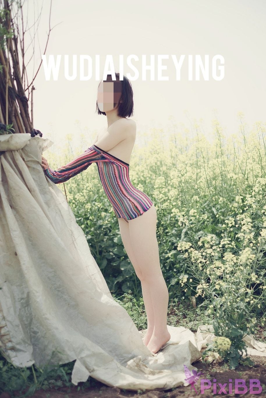 OtherXXX WUDIAISHEYING X Beautiful private photos of porn masters PixiBB.COM 1462