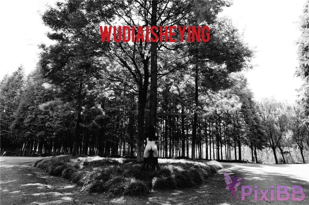 OtherXXX WUDIAISHEYING X Beautiful private photos of porn masters PixiBB.COM 1684