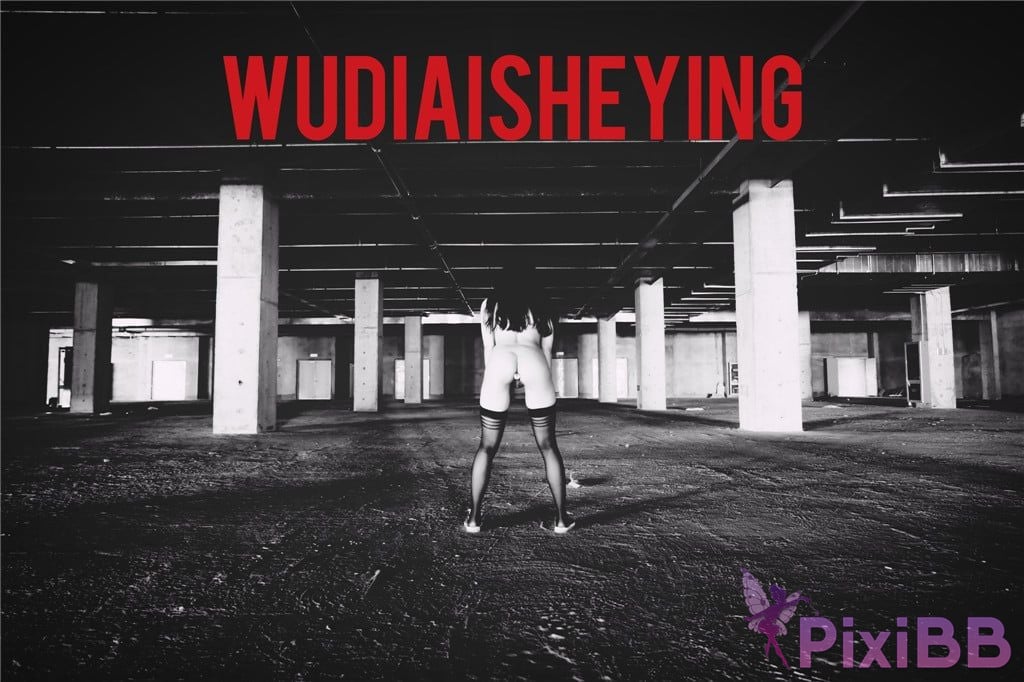 OtherXXX WUDIAISHEYING X Beautiful private photos of porn masters PixiBB.COM 174