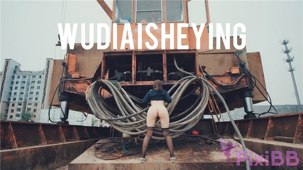 OtherXXX WUDIAISHEYING X Beautiful private photos of porn masters PixiBB.COM 2000