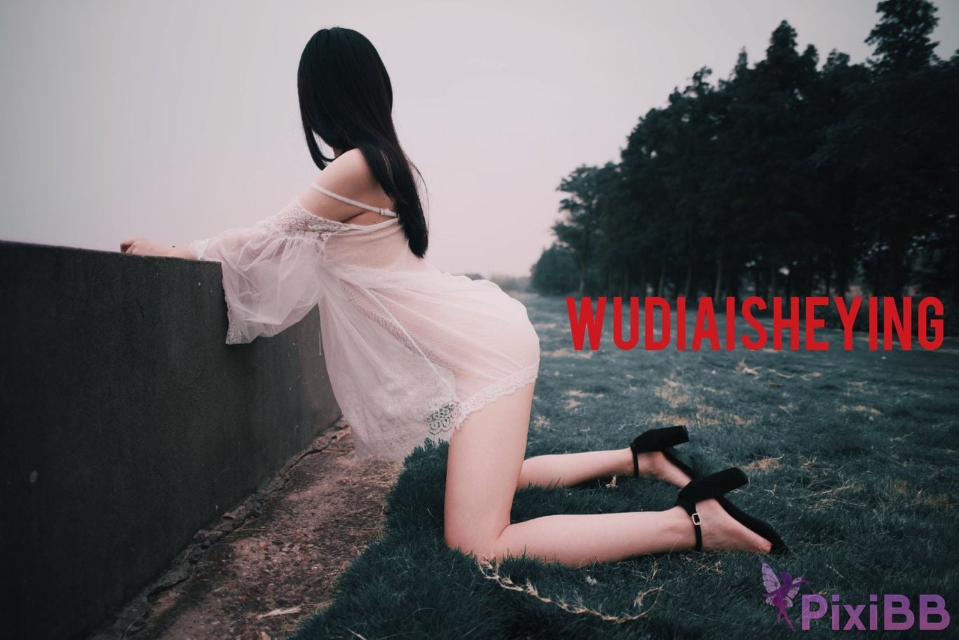 OtherXXX WUDIAISHEYING X Beautiful private photos of porn masters PixiBB.COM 541