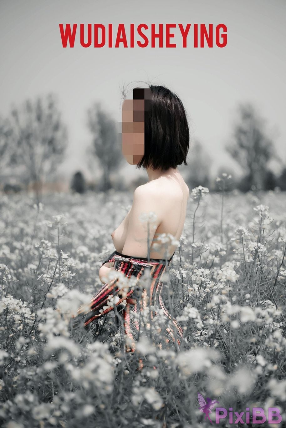 OtherXXX WUDIAISHEYING X Beautiful private photos of porn masters PixiBB.COM 708