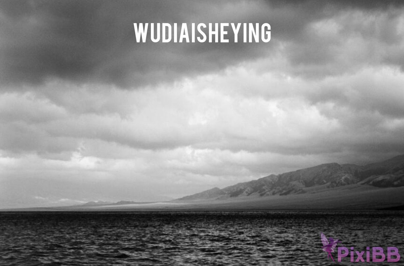 OtherXXX WUDIAISHEYING X Beautiful private photos of porn masters PixiBB.COM 835