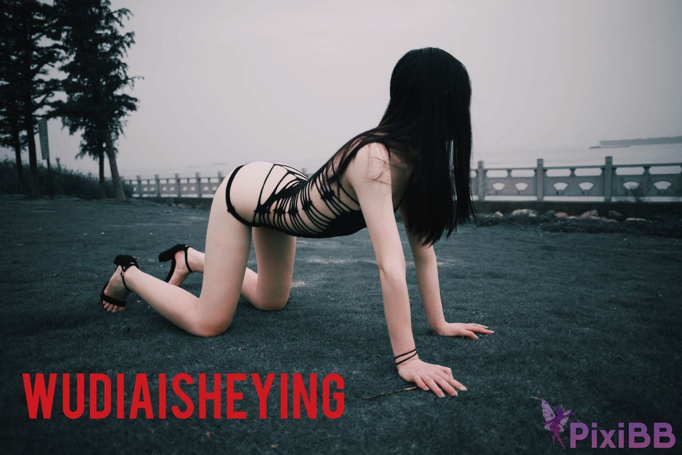 OtherXXX WUDIAISHEYING X Beautiful private photos of porn masters PixiBB.COM 962