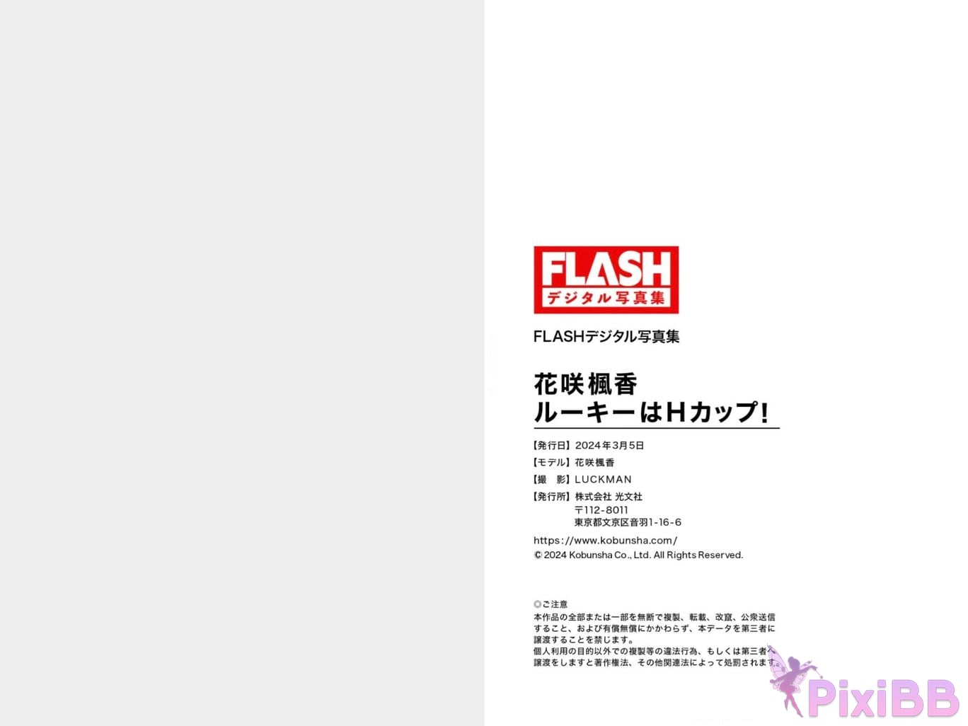 Japanese Idol F uh ka Hanasaki Fuuka FLASH digital photo book The rookie is H cup PixiBB.COM 041