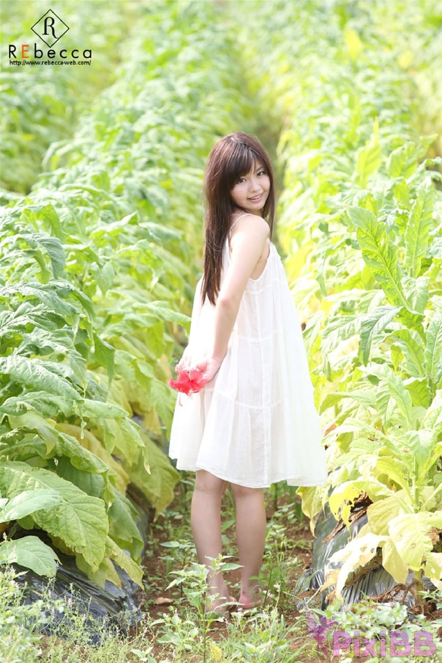 Japanese Idol Mei Hayama REbecca be happy Adult digital photo book PixiBB.COM 016