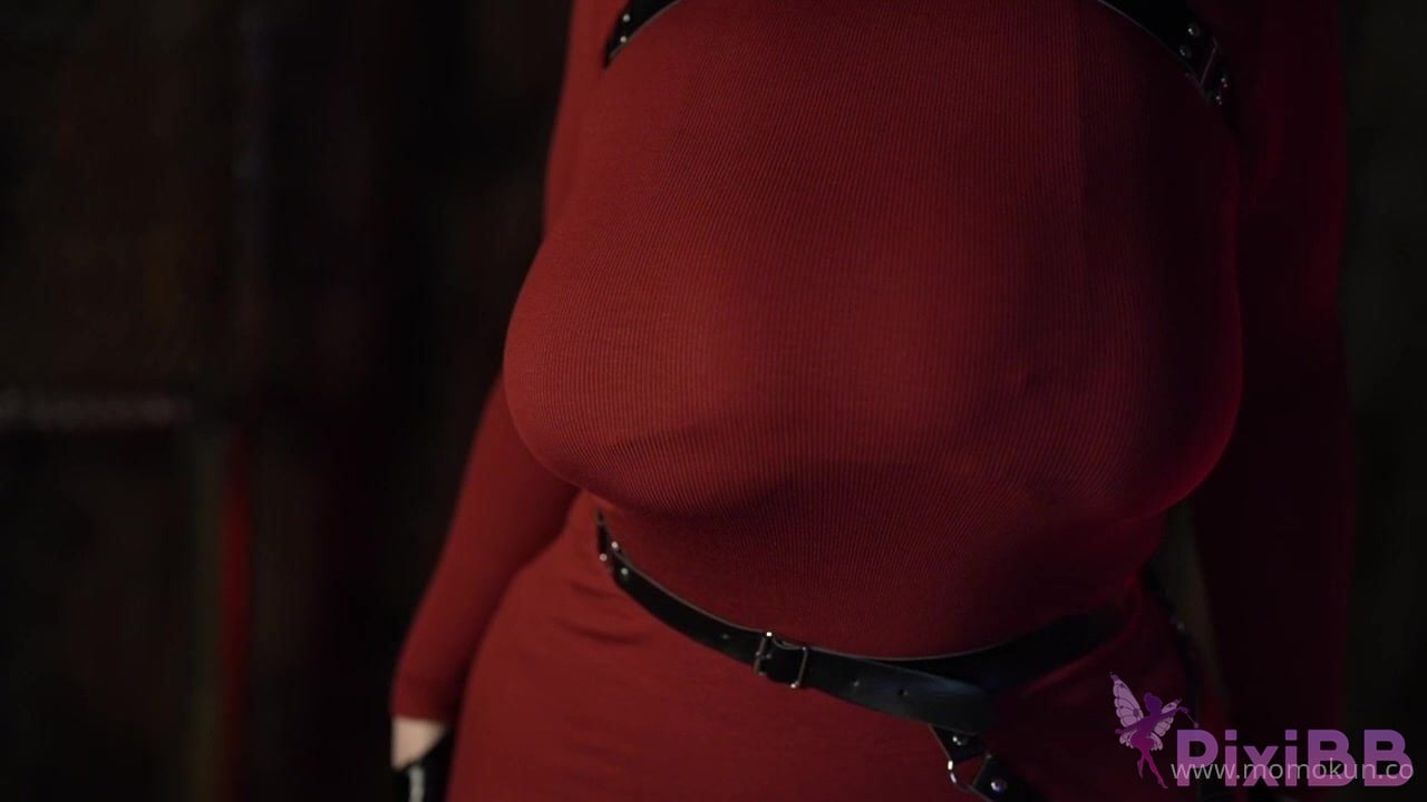 Momokun Ada Wong PixiBB.COM 007