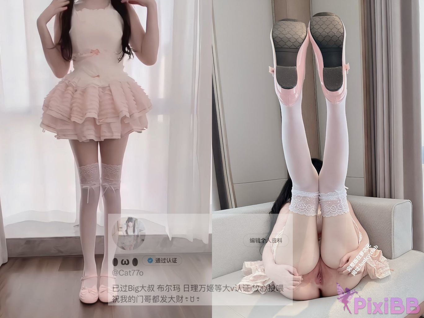 OtherXXX Cat77o White and tender big breast welfare girl subscription PixiBB.COM 044