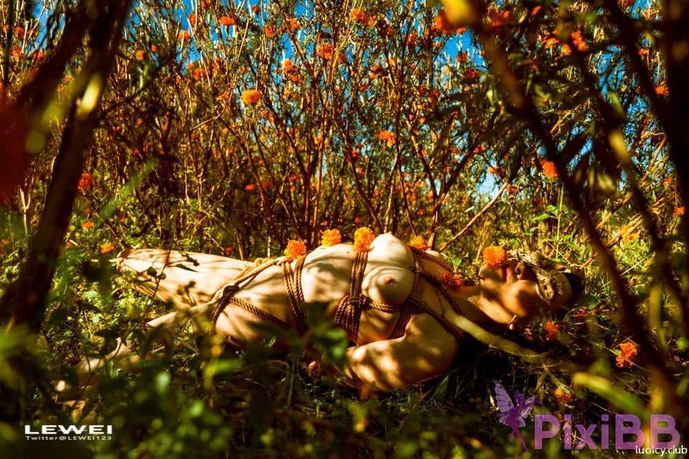 OtherXXX Lewei SM bundle Outdoor exposure photography collection PixiBB.COM 572