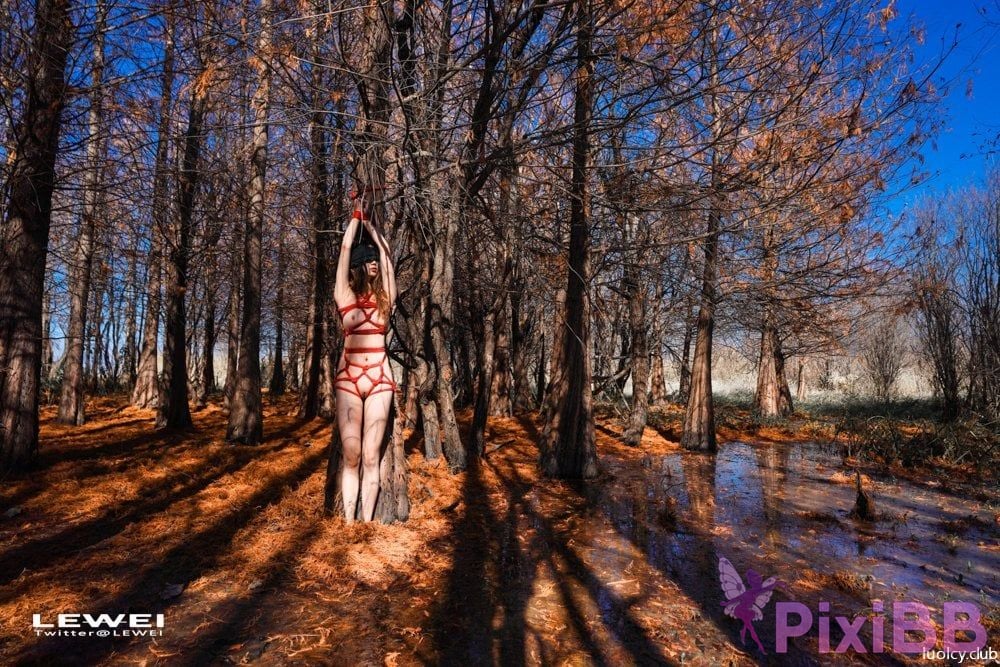 OtherXXX Lewei SM bundle Outdoor exposure photography collection PixiBB.COM 609