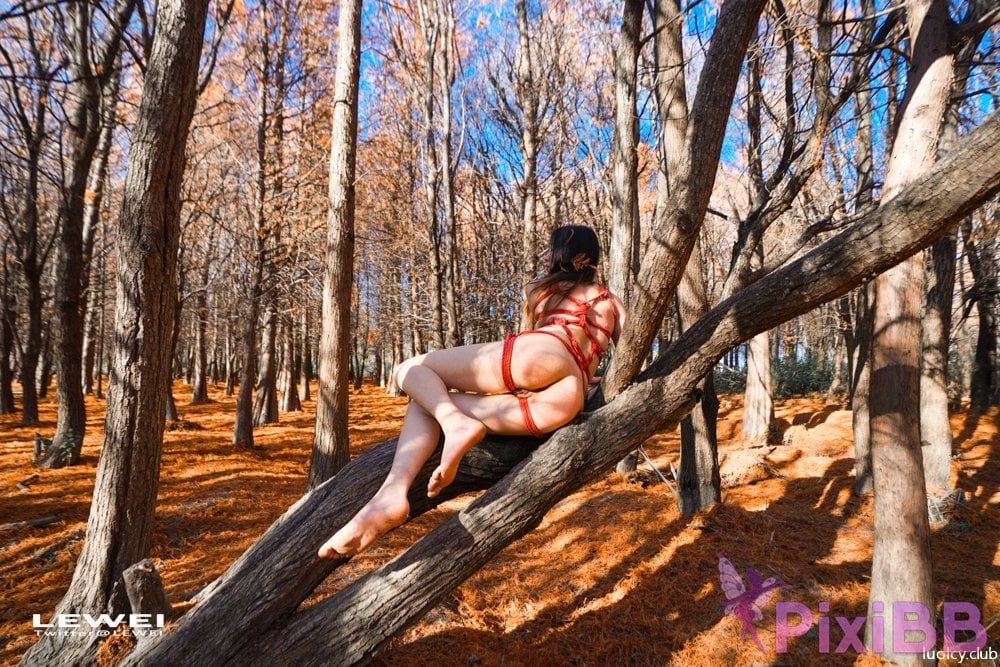 OtherXXX Lewei SM bundle Outdoor exposure photography collection PixiBB.COM 615