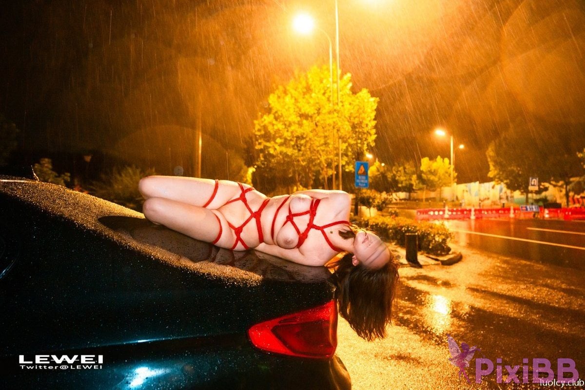 OtherXXX Lewei SM bundle Outdoor exposure photography collection PixiBB.COM 838