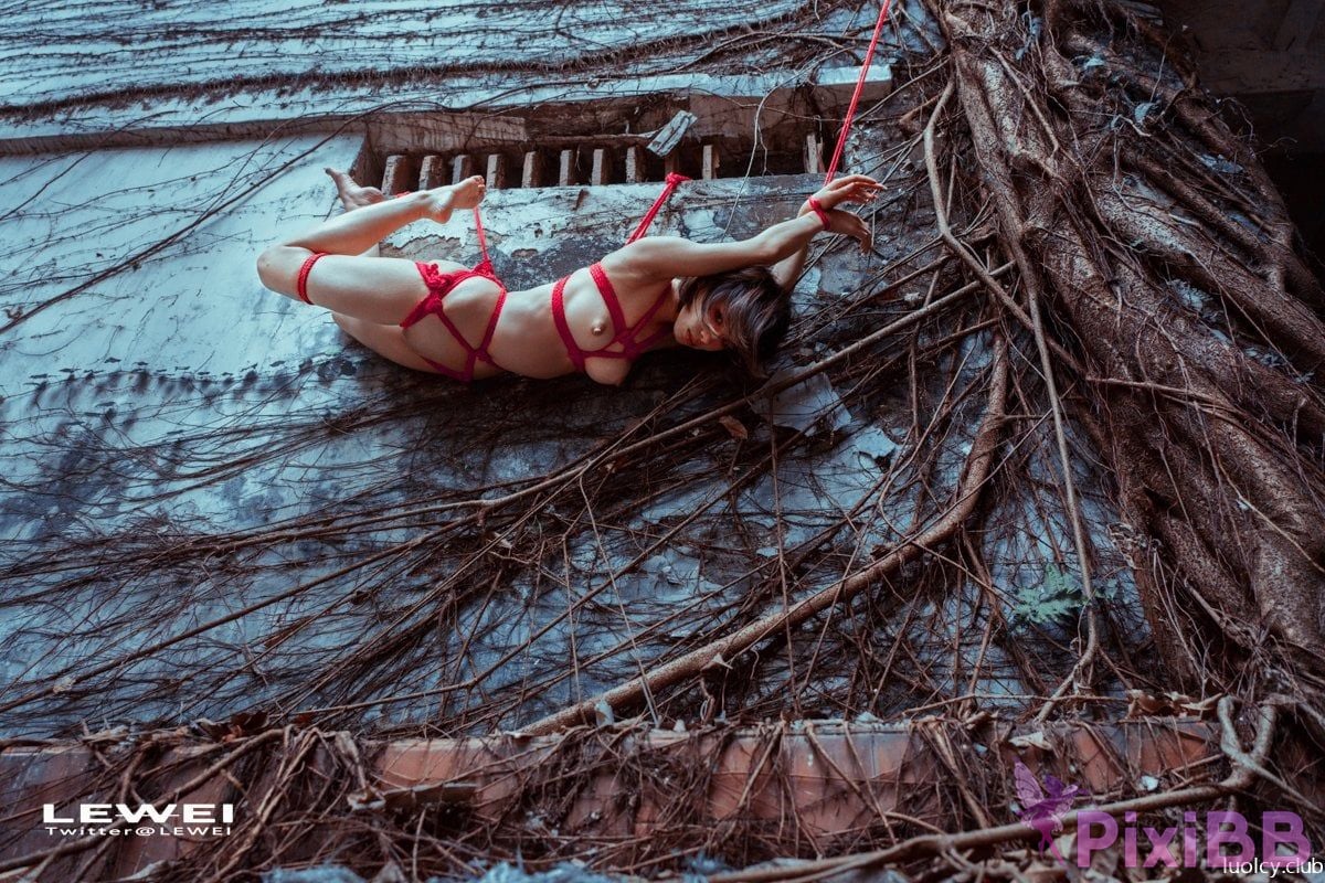 OtherXXX Lewei SM bundle Outdoor exposure photography collection PixiBB.COM 920