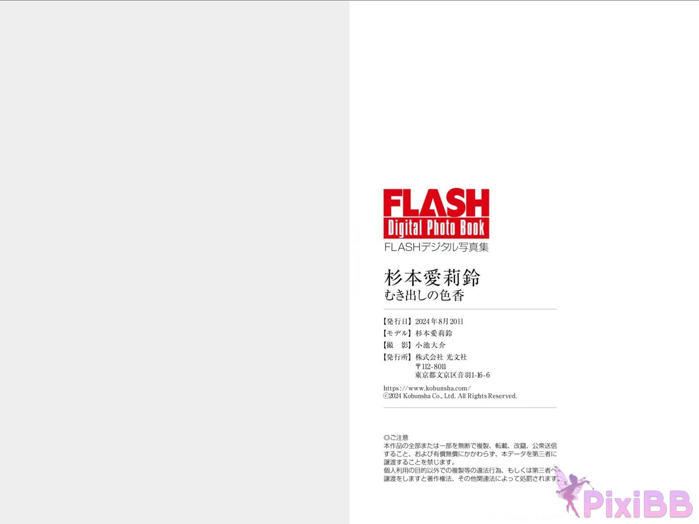 Japanese Idol Sugimoto Mariri Airizu FLASH Digital Photo Book Exposed Sex PixiBB.COM 042
