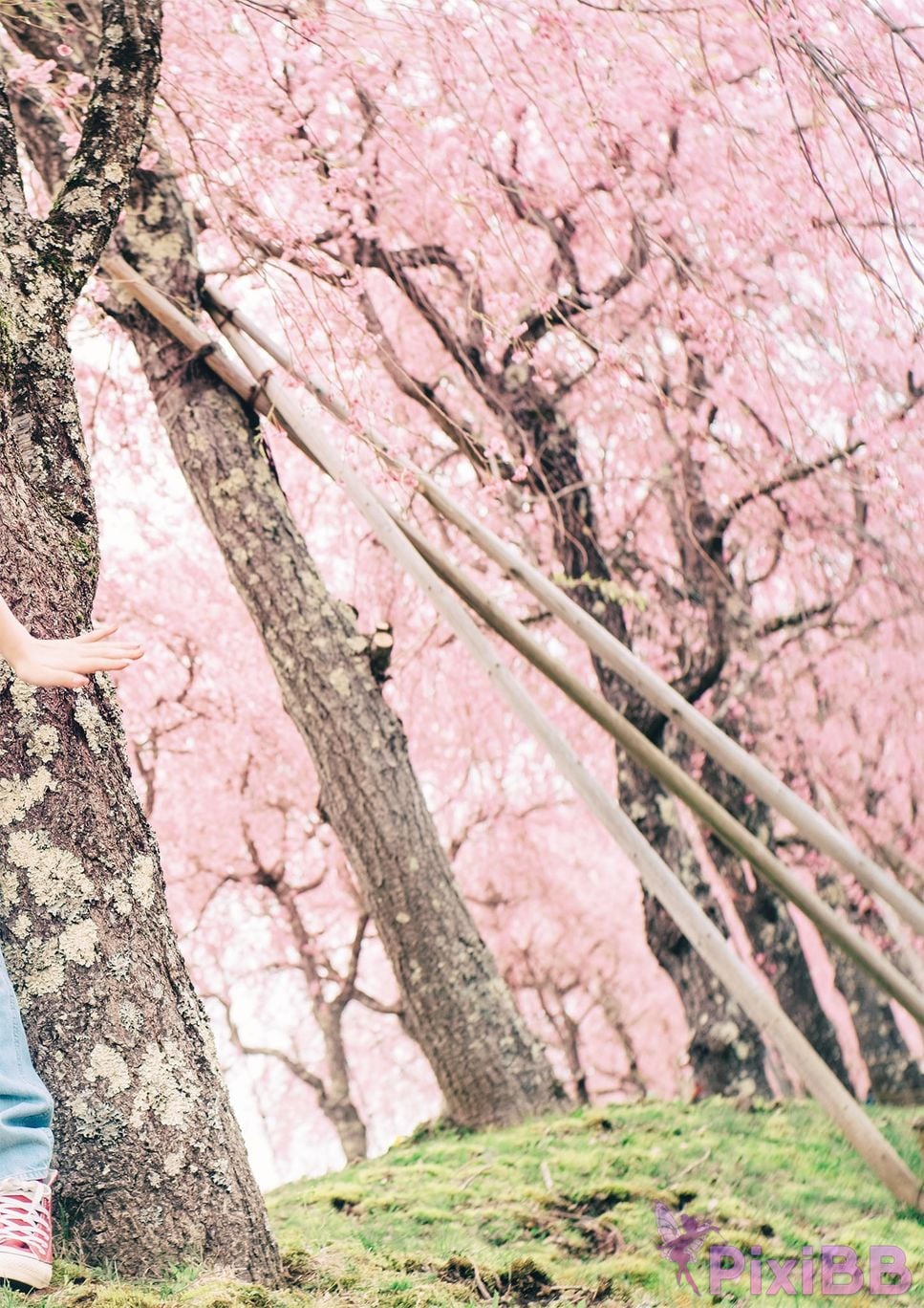 Japanese Idol Matsumoto Ichika photo collection TOXIC PixiBB.COM 002