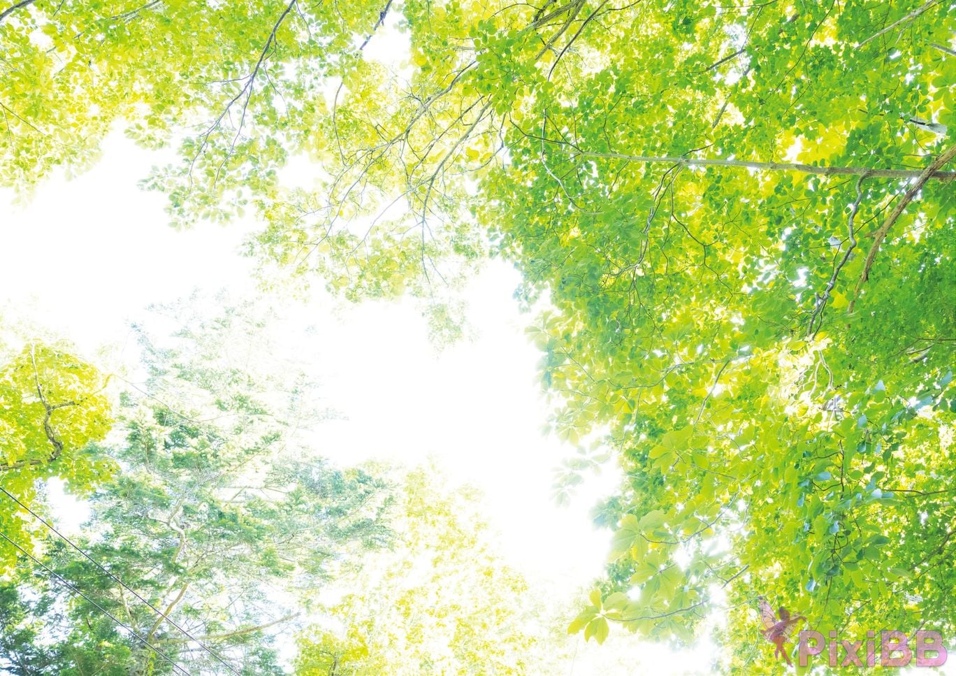 Japanese Idol Mia Nanasawa photo collection Evergreen PixiBB.COM 026