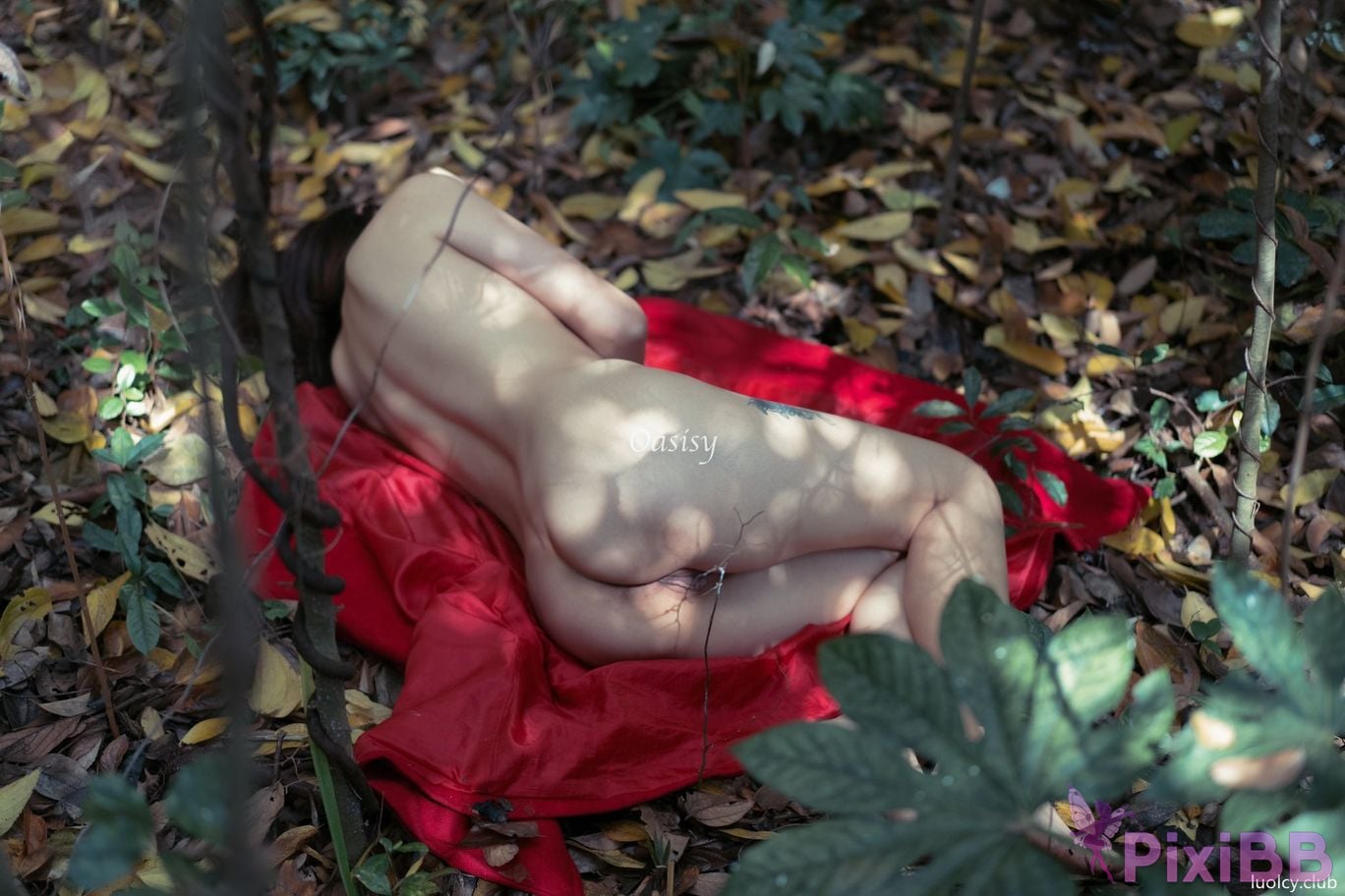 OtherXXX Oasisy Beautiful artistic erotic photos PixiBB.COM 045
