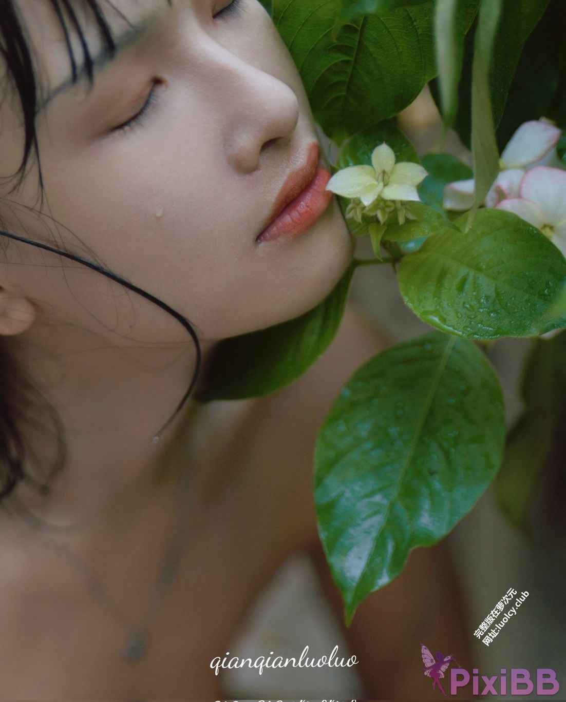OtherXXX qianqianluoluo Qianluo LUO Subscription for the plump breasted white tiger young model Welfare Ji PixiBB.COM 234
