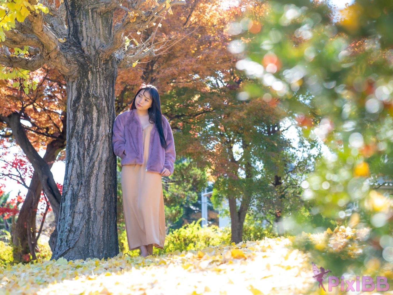 Japanese Idol Aoi Kururugi Gravure Photobook PRESTIGE PHOTOGENICS PixiBB.COM 003
