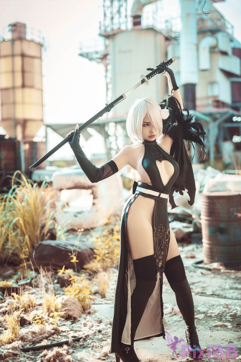 Cosplay Momo Jiye No. 2 B Type 2B PixiBB.COM 002