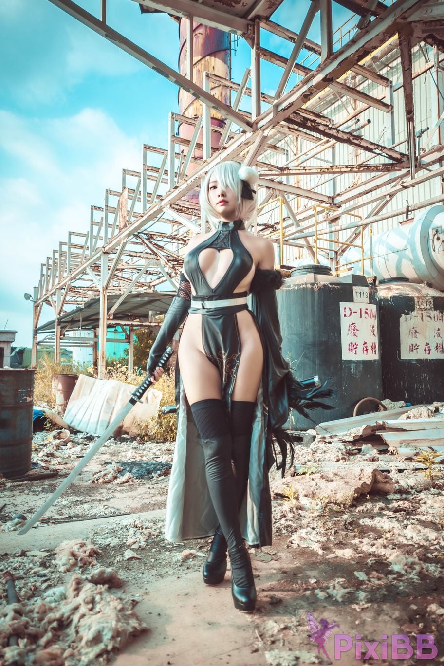 Cosplay Momo Jiye No. 2 B Type 2B PixiBB.COM 003