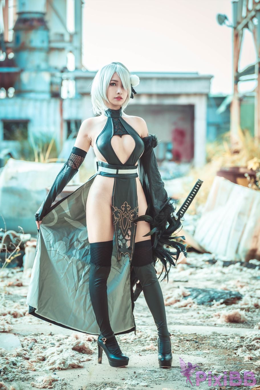 Cosplay Momo Jiye No. 2 B Type 2B PixiBB.COM 008