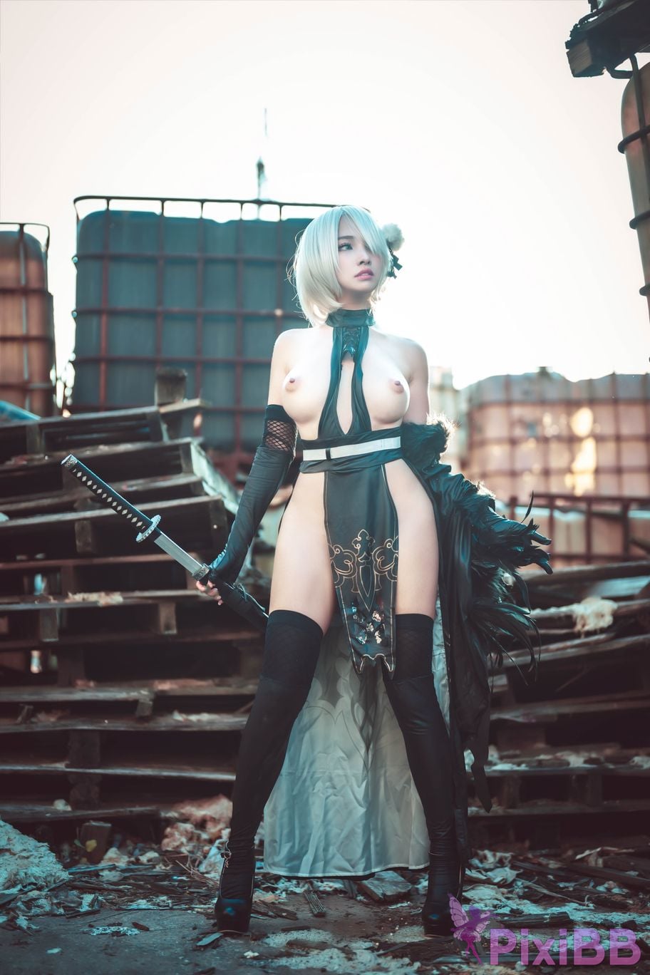 Cosplay Momo Jiye No. 2 B Type 2B PixiBB.COM 025