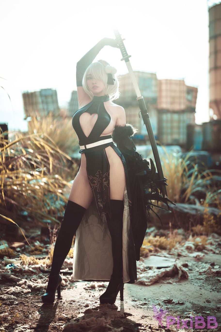 Cosplay Momo Jiye No. 2 B Type 2B PixiBB.COM 044