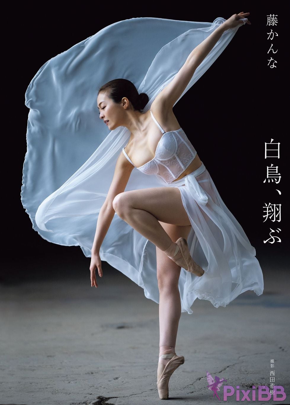 Japanese Idol Kanna Fuji plane Asa Gei SEXY Actress photo collection swan fly PixiBB.COM 001