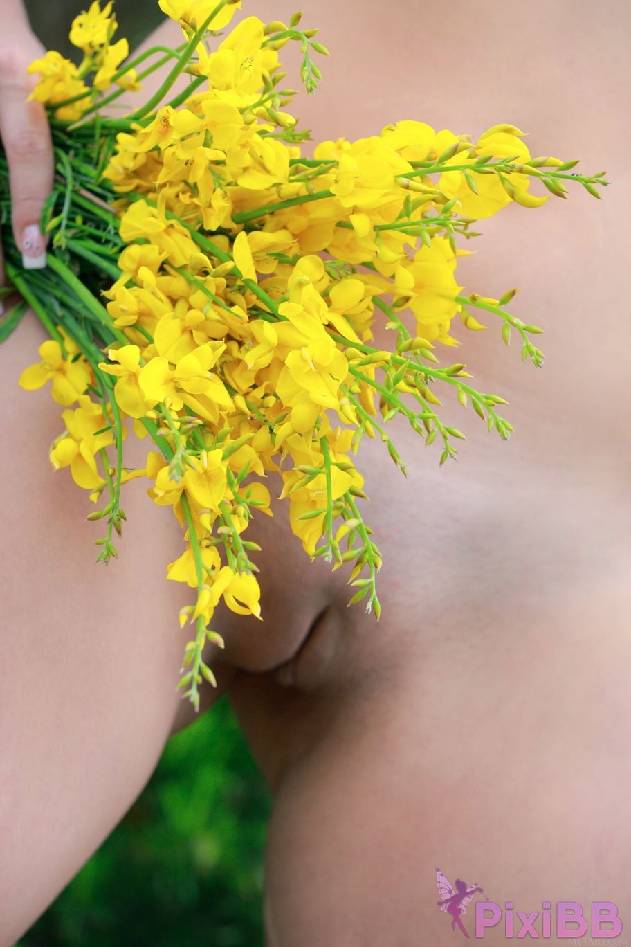MetArt Violla Im Golden Part02 0043 PixiBB.COM 8855776729