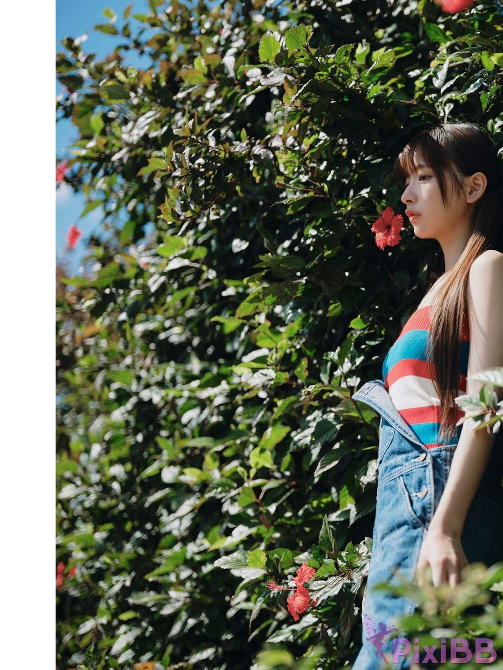 Japanese Idol Runa Ichinose DMM Limited edition new wind Young Champion Digigra PixiBB.COM 070