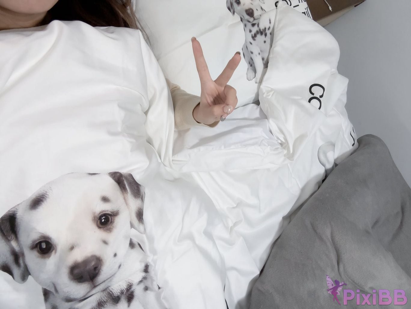 OtherXXX Ancheng1121 Top white tiger loli selfie Writing and shooting benefits Pure version of private photos PixiBB.COM 126