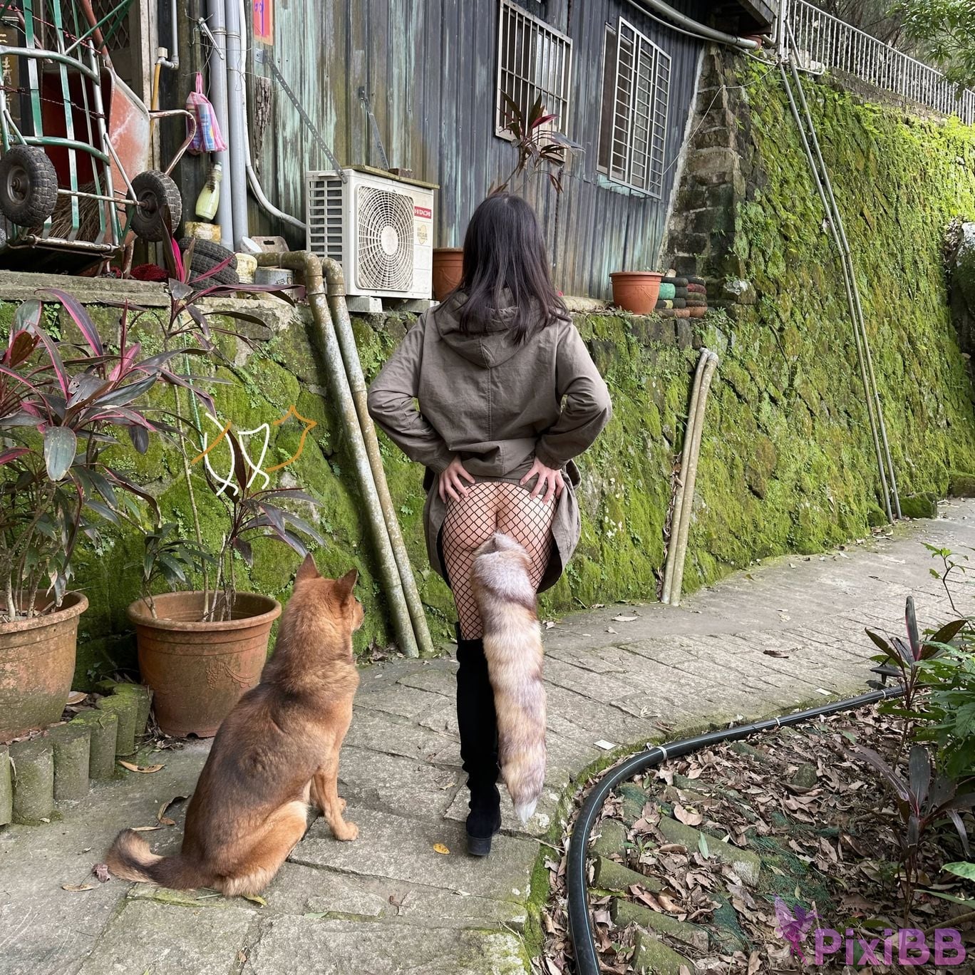 OtherXXX small boy cave thing Anal plug girl exposes welfare subscription 02 PixiBB.COM 070