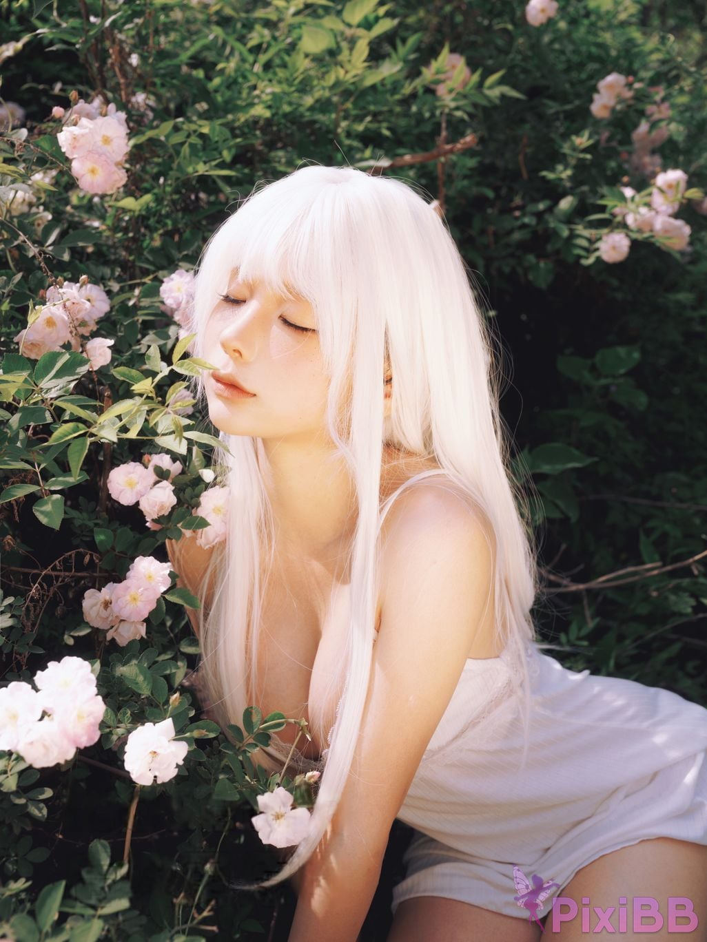 Coser chunmomo chunmomo PixiBB.COM 007