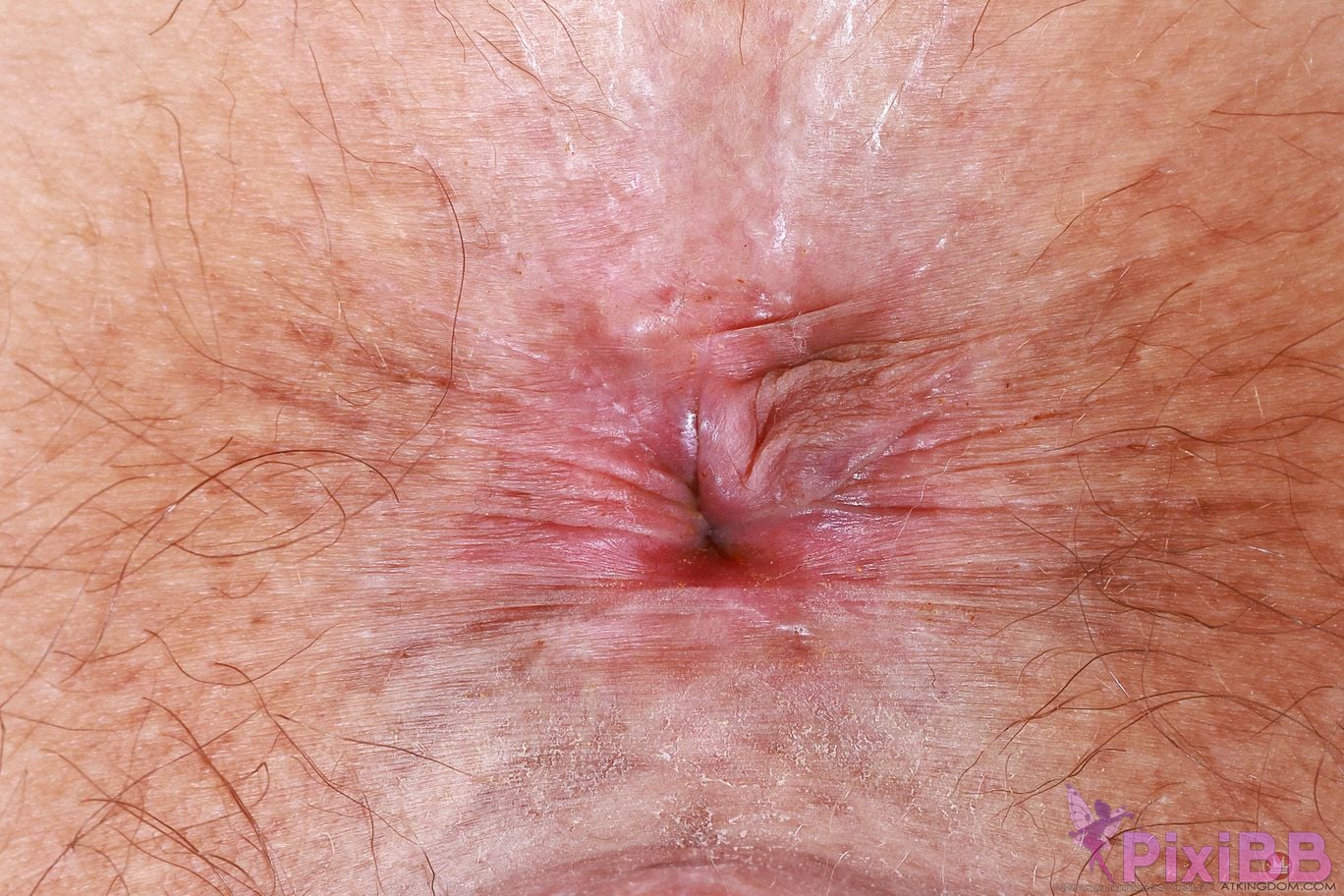 atkhairy cleo moon hairy fun set 419472 187 PixiBB.COM